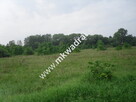 Działka Nowy wilków - 2