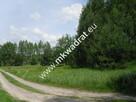 Piękna nieruchomość z możliwością podziału działu - 4