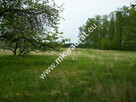 Działka Budy mszczonowskie - 4