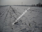 Działka Płochocin - 2