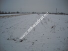 Inwestycyjna działka Płochocin 3300 m2 - 2