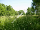 działki siedliskowe - 2