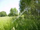 działki siedliskowe - 4