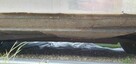 BMW Inny BMW 1800 NEUE KLASSE 1969 - 6