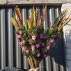 palmy Wielkanocne, palmy żywe- PRODUCENT - 4
