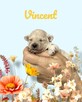 Bichon frise do rezerwacji. - 4