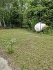 Sprzedam2domy 240m2 i 65m2 działka 3800m2gmina Leoncin 2 - 10