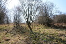 Działka budowlana - 6
