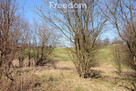 Działka budowlana - 7