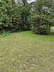 Sprzedam2domy 240m2 i 65m2 działka 3800m2gmina Leoncin 2 - 11
