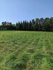 Koszenie trawy, nieużytków, kosiarka bijakowa, karczowanie. - 8