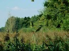 Syndyk sprzeda - Palczew Parcela - 3