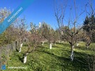 Przemyśl // Działka nad Sanem // 10 arów // Galeria Sanowa - 5