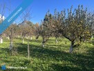 Przemyśl // Działka nad Sanem // 10 arów // Galeria Sanowa - 11