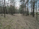 Działka budowlana Ruda-Bugaj gm. Aleksandrów Łódzki, Mała - 11