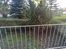 Sprzedam dwupokojowe mieszkanie - 13