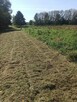 Koszenie trawy, nieużytków, kosiarka bijakowa, karczowanie. - 7