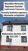 Malowanie Dachów wszelkie Remoty naprawy - 10