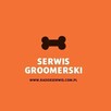 Naprawa maszynek Andis Moser Heiniger- Rakoniewice - 3