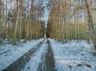 nieruchomość niezabudowana pow. 1,4103 ha - 2