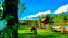 Karkonosze Dom 5 os. Jacuzzi/Sauna/Podgrzewany basen prywat - 11