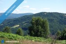 Brenna 2,53 ha działka inwestycyjna blisko wyciągu - 1