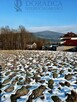 Działka budowlana Świnna Poręba gm. Mucharz - 4