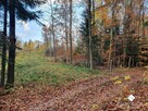 Działka budowlana Spręcowo gm. Dywity - 7
