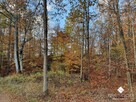 Działka budowlana Spręcowo gm. Dywity - 11