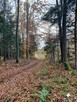 Działka budowlana Spręcowo gm. Dywity - 13