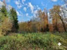 Działka budowlana Spręcowo gm. Dywity - 14