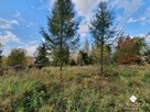 Działka budowlana Spręcowo gm. Dywity - 15