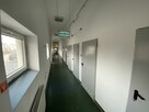 20 km od Poznania - produkcja, magazyn, handel - 11