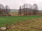 Sprzedam dużą działkę budowlaną - 3
