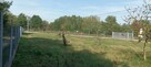 Działka usługowo-mieszkaniowa w Jesówce - 10