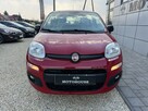 Fiat Panda - 5