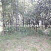 Dom Żabia Wola Ojrzanów - 4