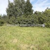 Dom Żabia Wola Ojrzanów - 8