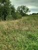 DZIAŁKA 862 M2 PYRZYCE UL. WARSZAWSKA. - 4