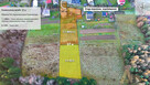 Dom w Kurowie z widokiem na okolice - 4