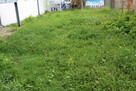 Sprzedam poddasze w kamienicy w centrum miasta - 3
