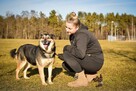 Matis-cudowny średniej wielkosci pies do adopcji - 6