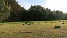 UROKLIWA DZIAŁKA Gmina Grodzie- połowa drogi KONIN- KALISZ - 4