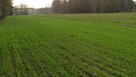 UROKLIWA DZIAŁKA Gmina Grodzie- połowa drogi KONIN- KALISZ - 7