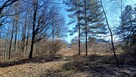 Działka budowlana Płaza gm. Chrzanów - 5
