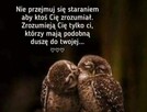 Szukam dziewczyny na stałe by już nie szukać - 2