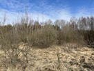 Działka o pow. 2,08 ha w m. Kawęczyn gm. Ciepielów - 3