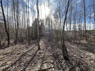 Działka o pow. 2,08 ha w m. Kawęczyn gm. Ciepielów - 7