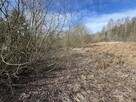 Działka o pow. 2,08 ha w m. Kawęczyn gm. Ciepielów - 9