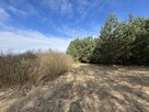 Działka o pow. 2,08 ha w m. Kawęczyn gm. Ciepielów - 13